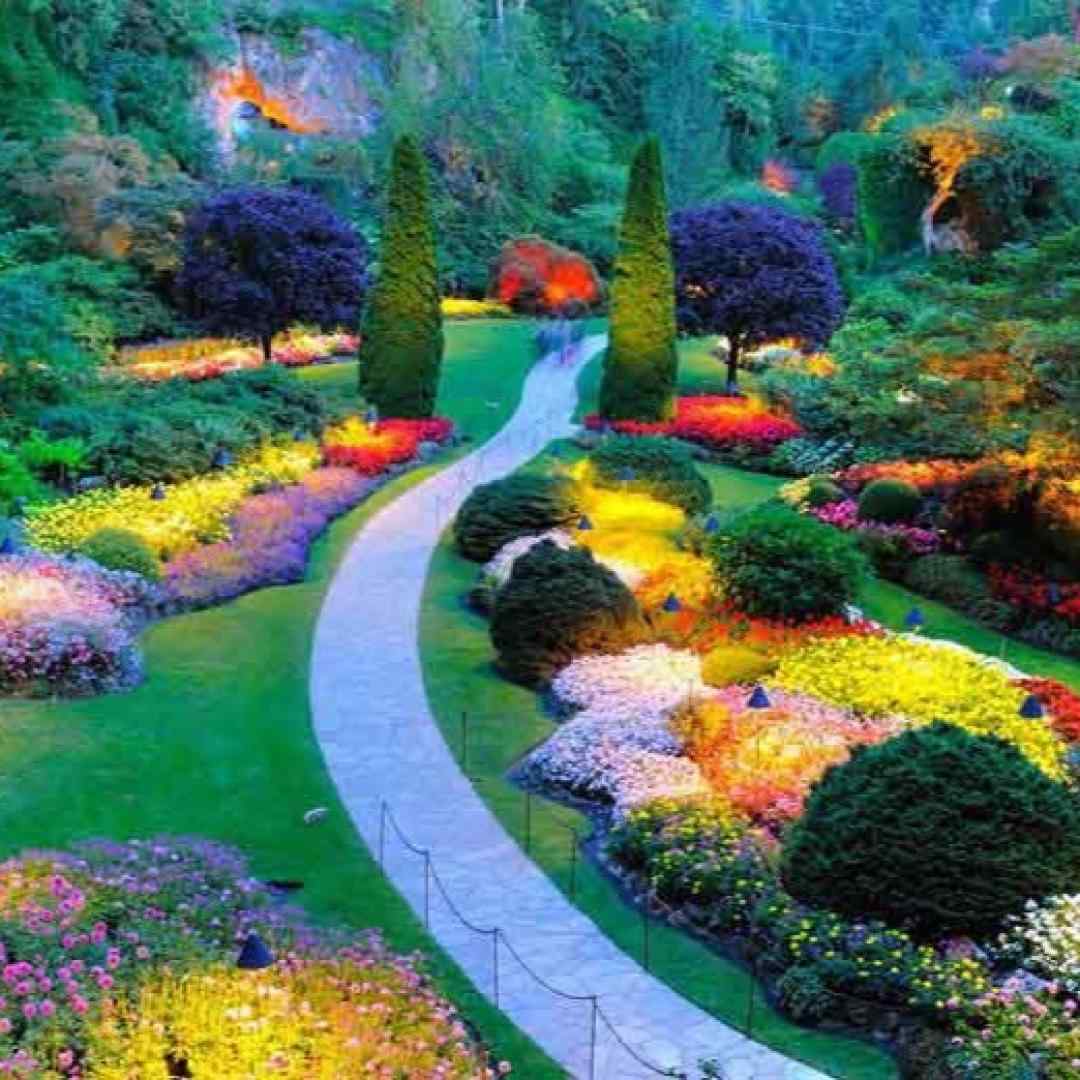  با تو نمیپرم با حتی یه آدم ناتو با صدای دختر