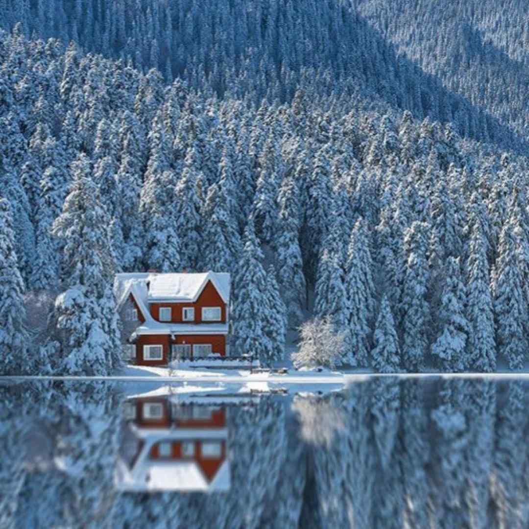  لیلا لیلا میگن که تهش قهره عشق من و تو