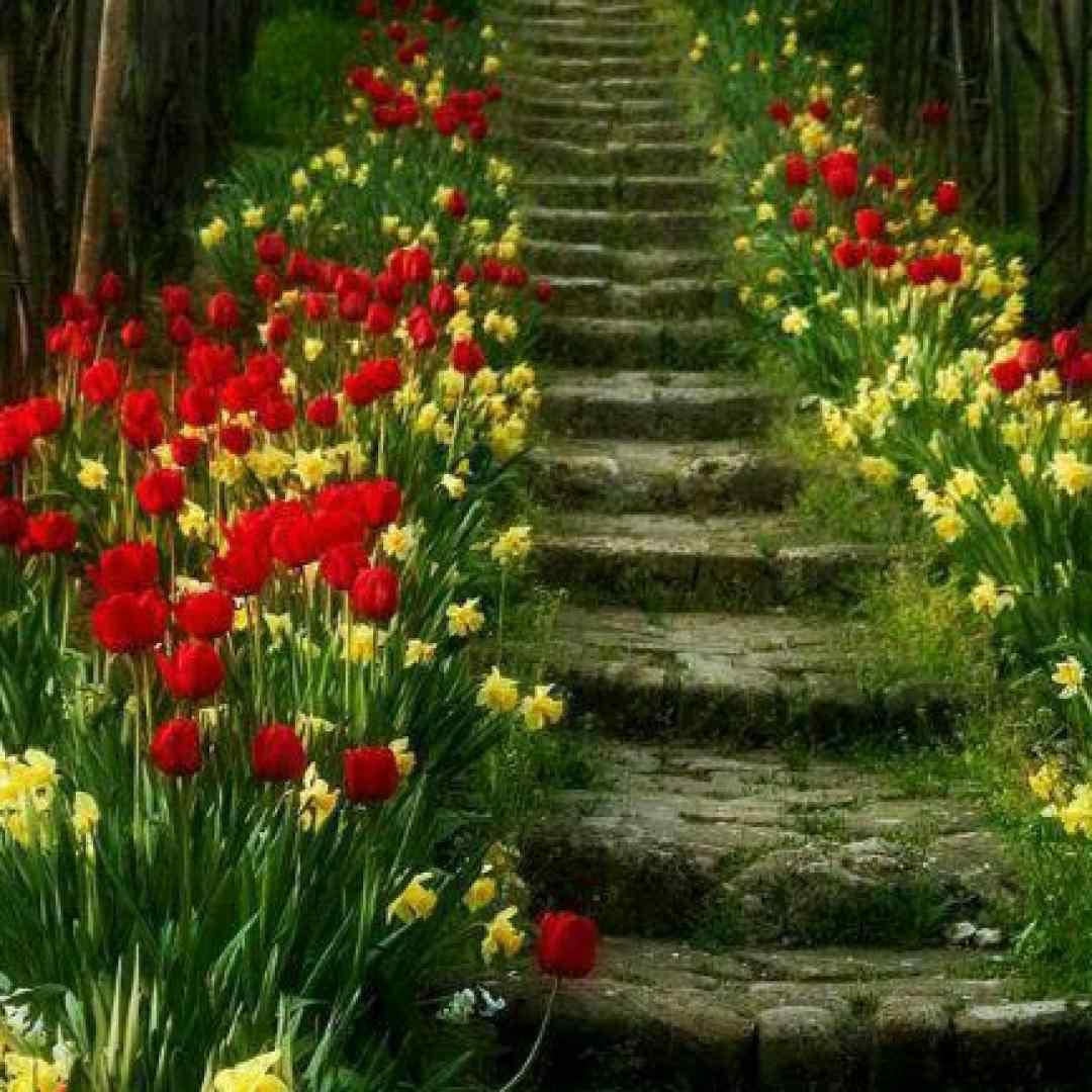 از حالا دیگه من مردم تو رو از پیشم بردن میکس ترکیبی اینستا