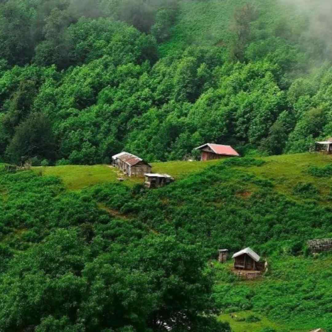 چشم و دلت روشن خواهرت اومد