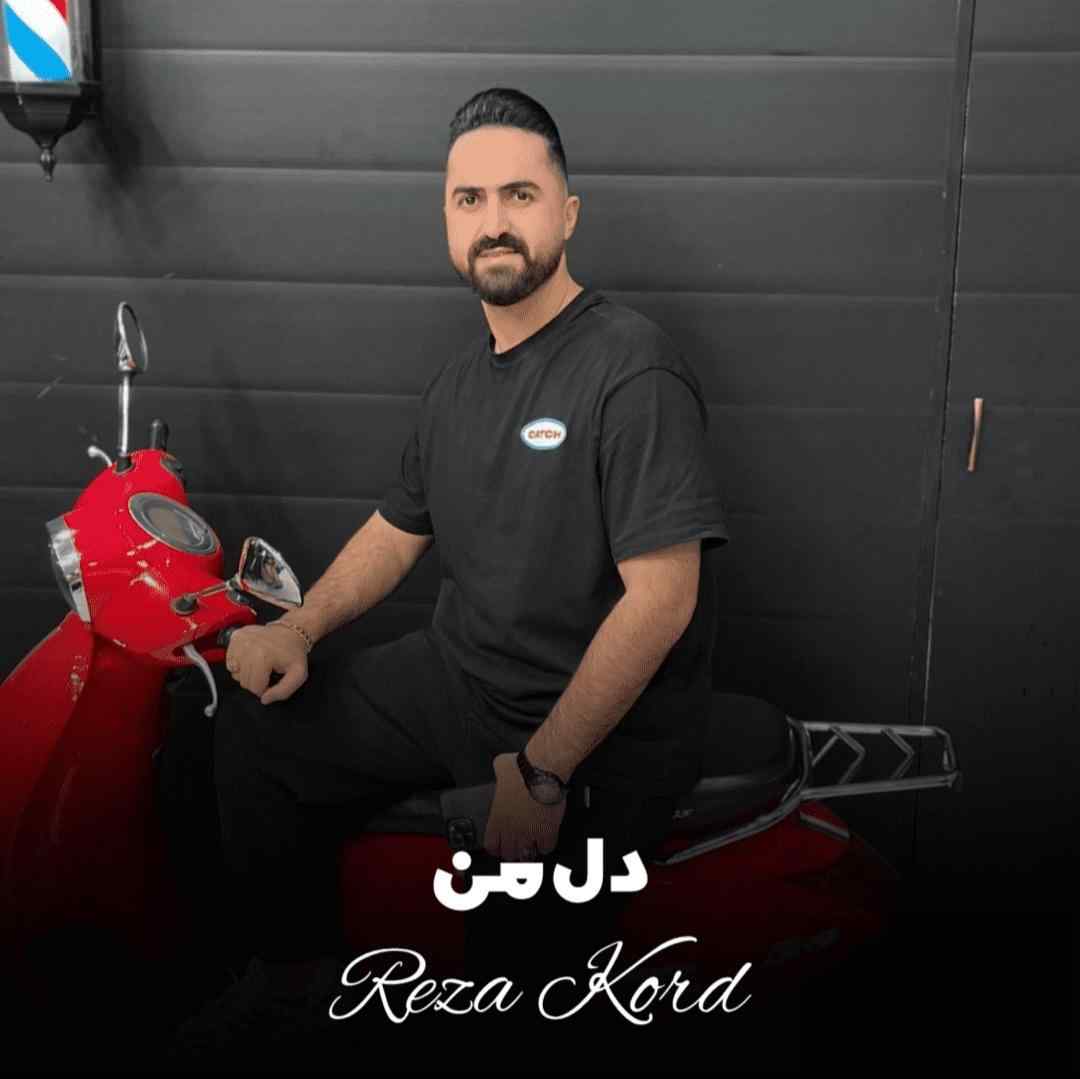 رضا کرد دل من