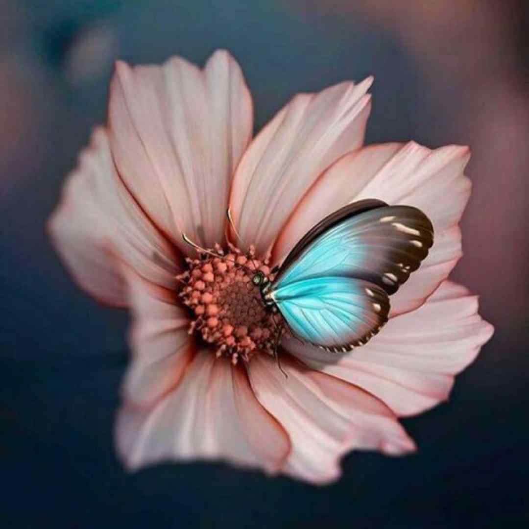  من موندم و فکرت شبا نمیدونی چقدر سخت بود