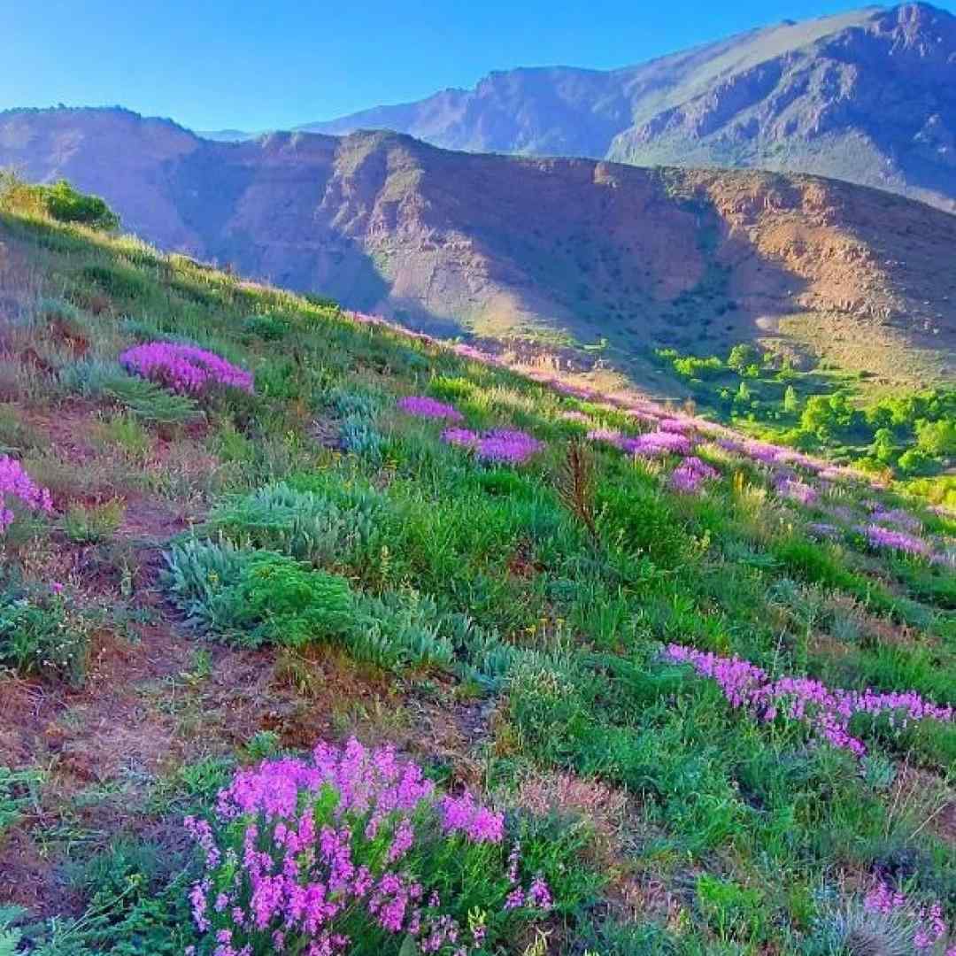  دلم برات تنگ شده جونم میخوام ببینمت نمیتونم با صدای دختر