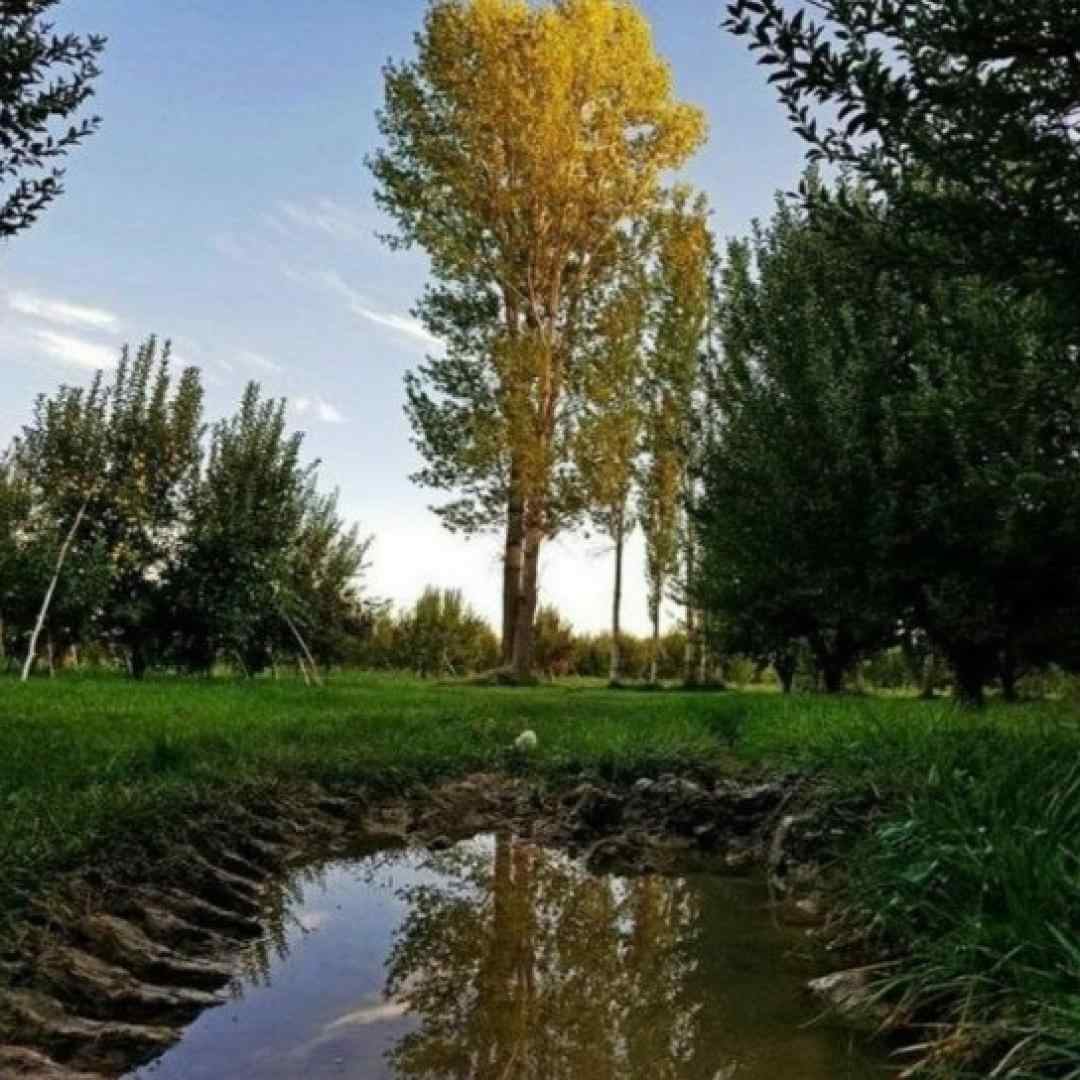  بودی پیشم صبح و شب دیدم تو رو من رفتی