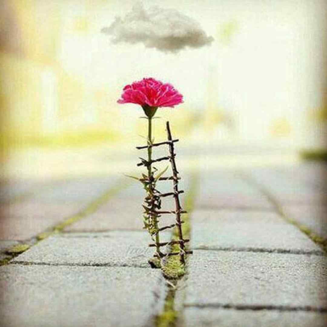  تو نور چویلمی نفست نفسمو تنگ میکنه میکس ترکیبی