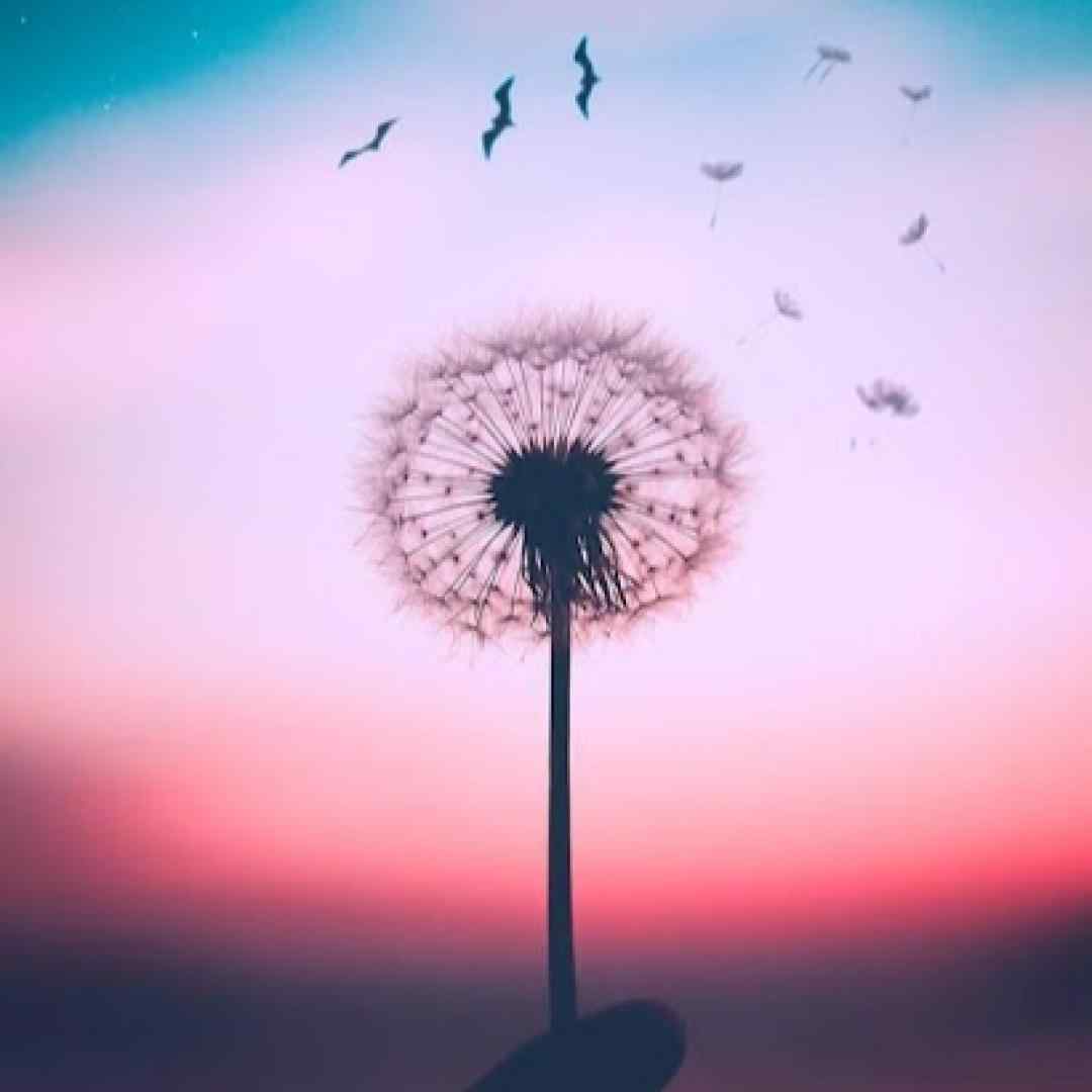 فاطمه عطایی بیا برگردیم به هم من حاضرم