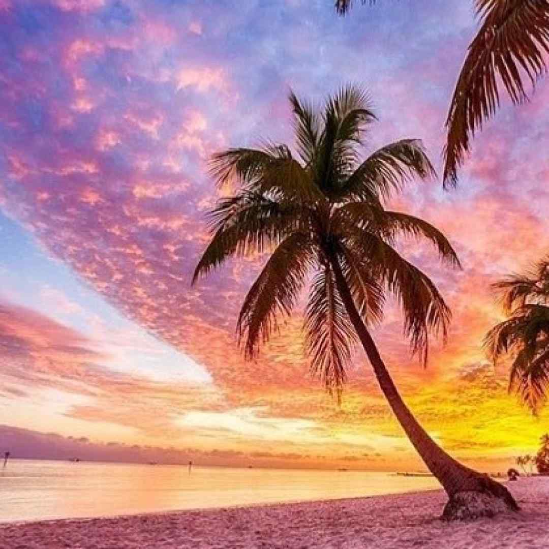  یا منو ببر به خونتون یا بیا به خونه ی ما