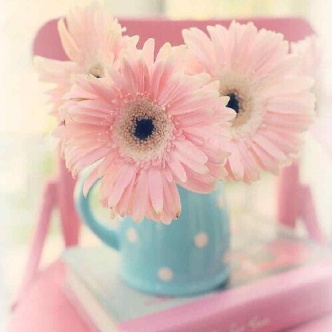  بعد تو کجا برم بعد تو زیاده غم با صدای زن