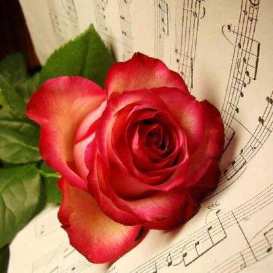  حالا که دارم میرم یه دنیا فاصله داریم با صدای زن