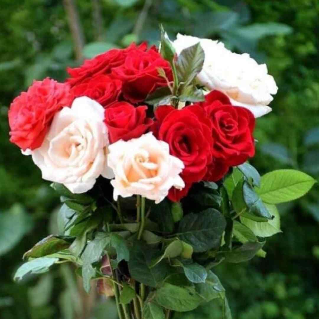  دخترم و خوشگلم حساس و نازک دلم ترند اینستا