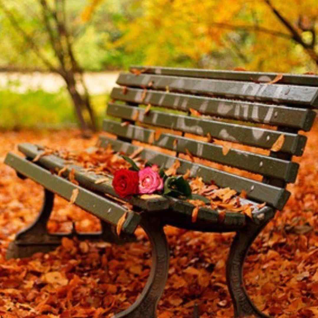 کاش بشه فردا رو دید همه غما رو چید