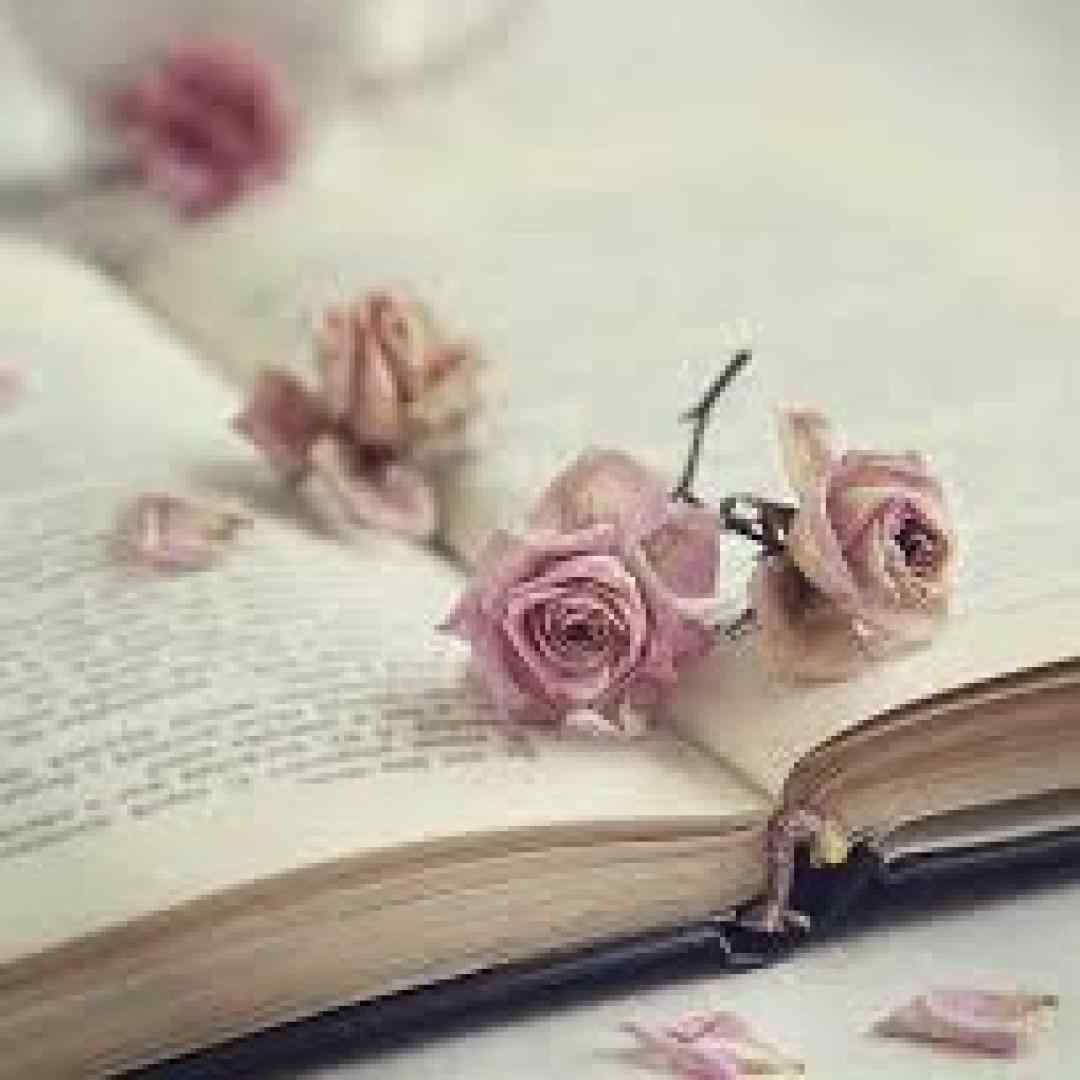  چراغونه کوچه ی دلواپسی به دلم افتاده امشب میرسی