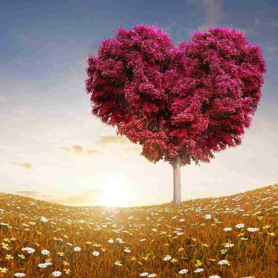  چقد بهت بگم روانی نزن همه فراری ازت