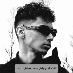 دانلود آهنگ جدید کات کردم باش دیدم فرداش رل زد از سل میرو 