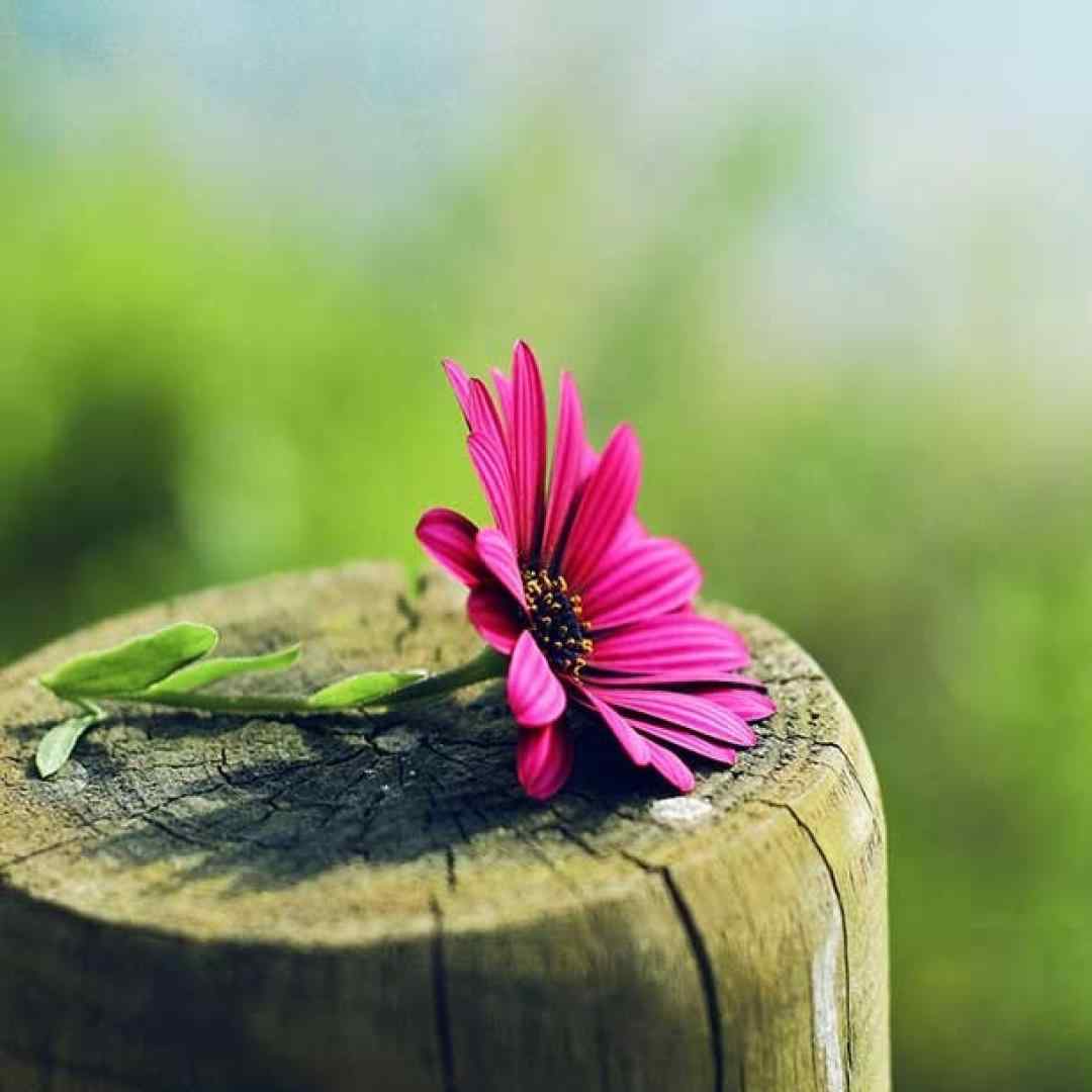  غما زیادن دارن منو نمیره یادم بابا جایی نبودی باهام