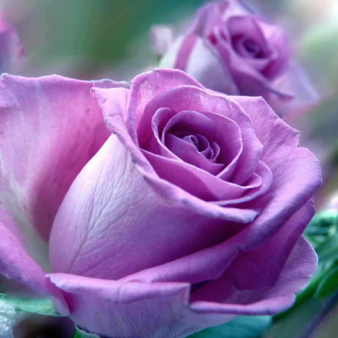  دوامو بده که من آروم شم سرم گرم ولی سرد آغوشم