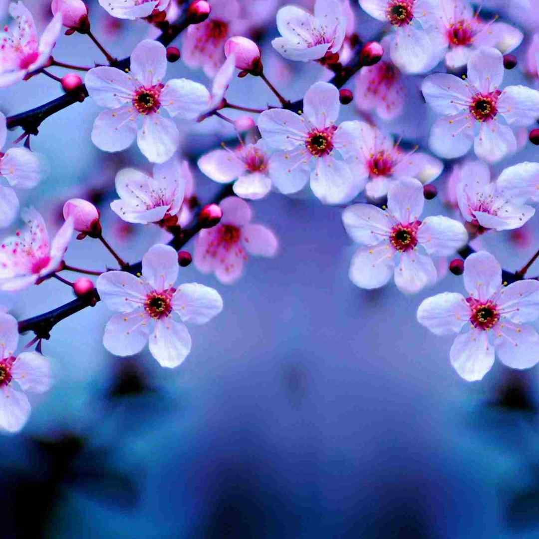  برو حاجی مارو بی خیال میکاپ فیلم سینمایی به ما نمیاد