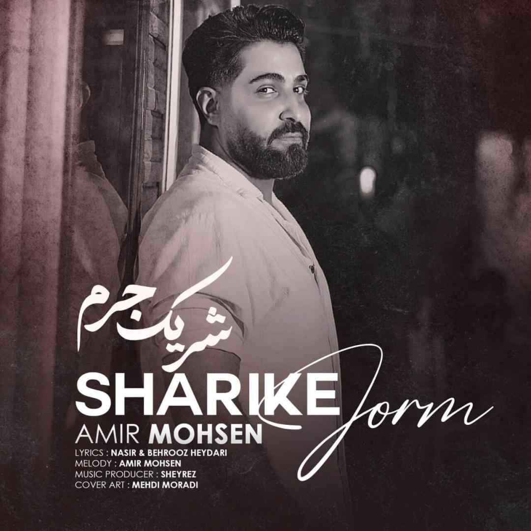 امیر محسن شریک جرم