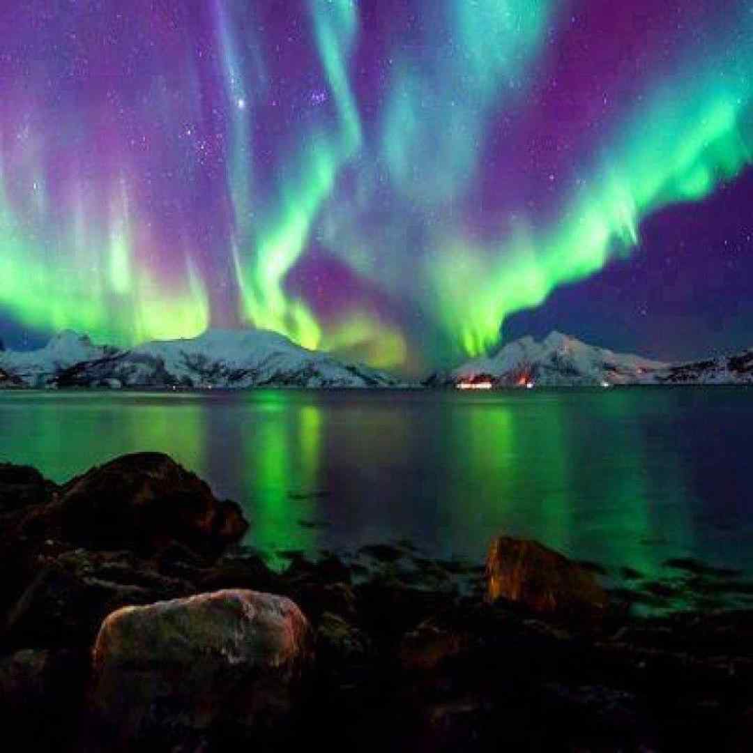 دنگته نمیدی چقد خریا از همه رفیقا خسیس تریا