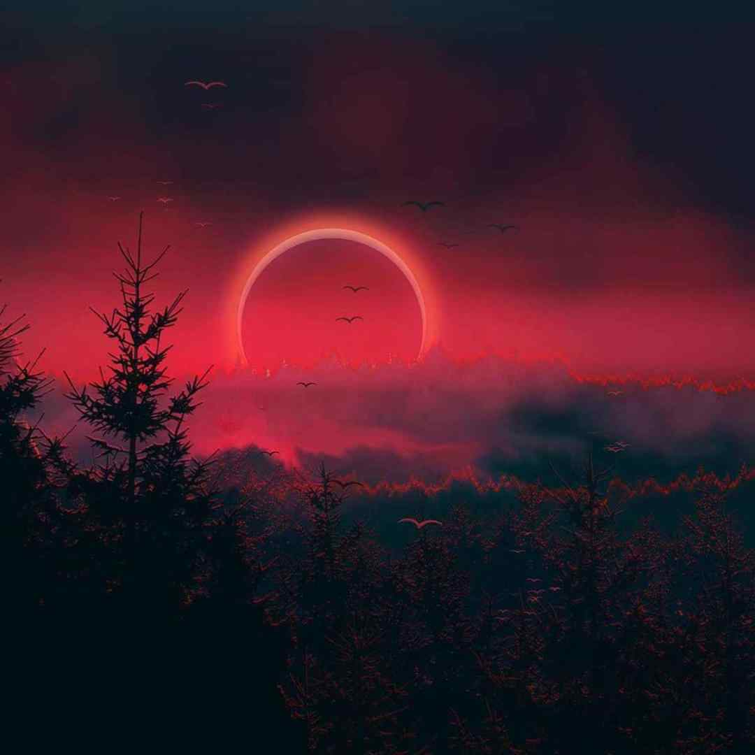 هر چیزی شنیدی تو ازم درسته گاهی آرومم گاهی هارم