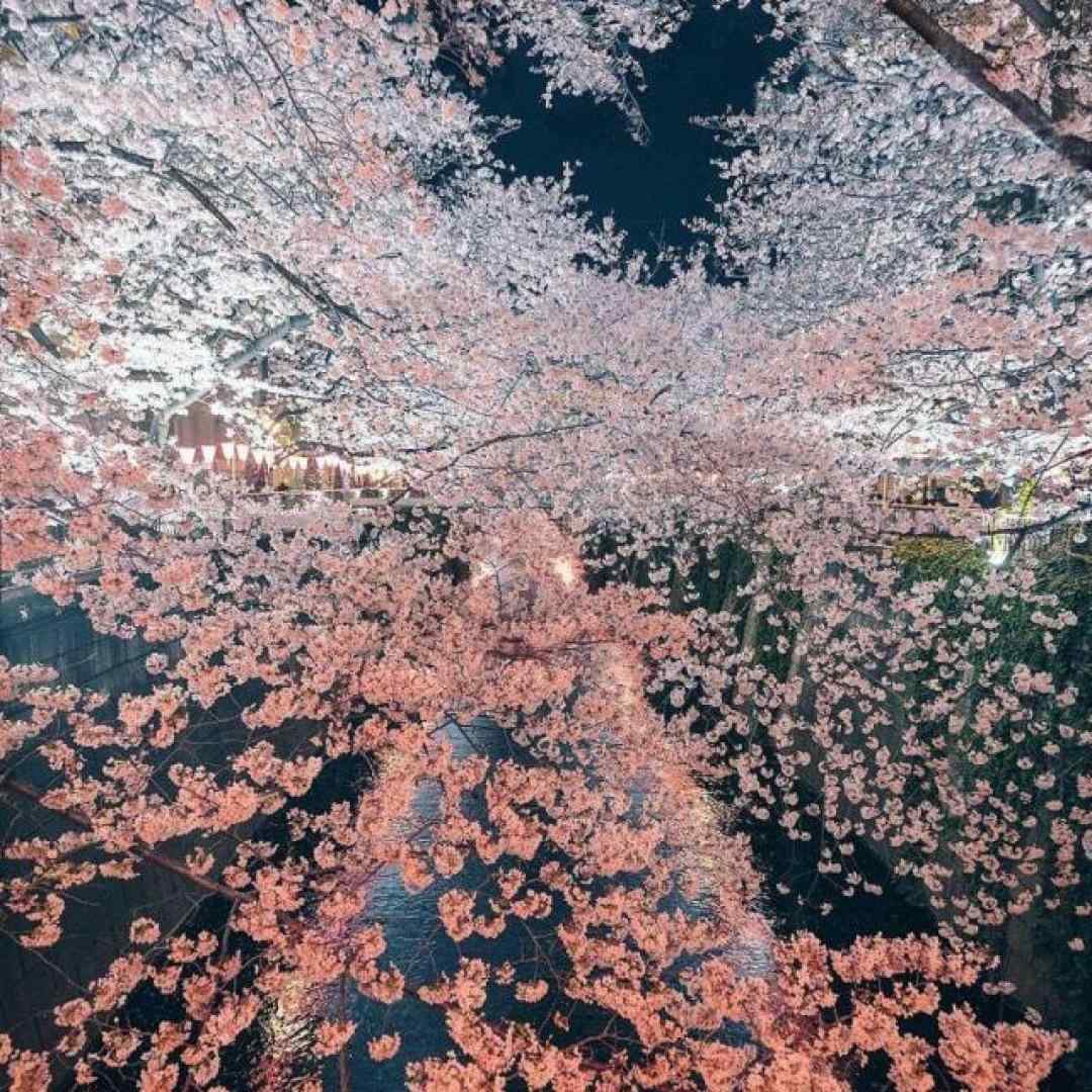 چت میکنن هی میگنو میخندن یه ریز