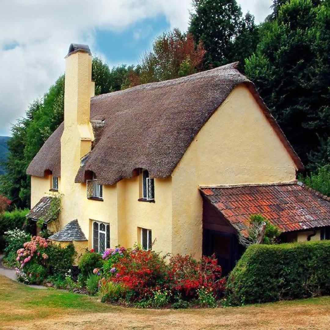  شبا سیاه مستم میمونه فیریکش صبح تو کنارم