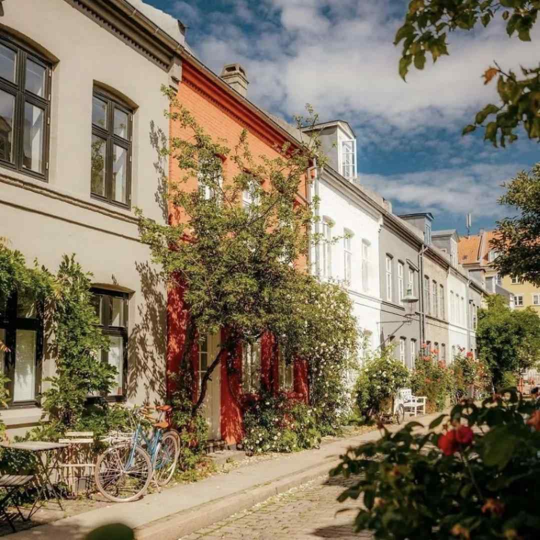 هی عجب روزایی رفتن عجب رفیقایی رفتن زیر خاک