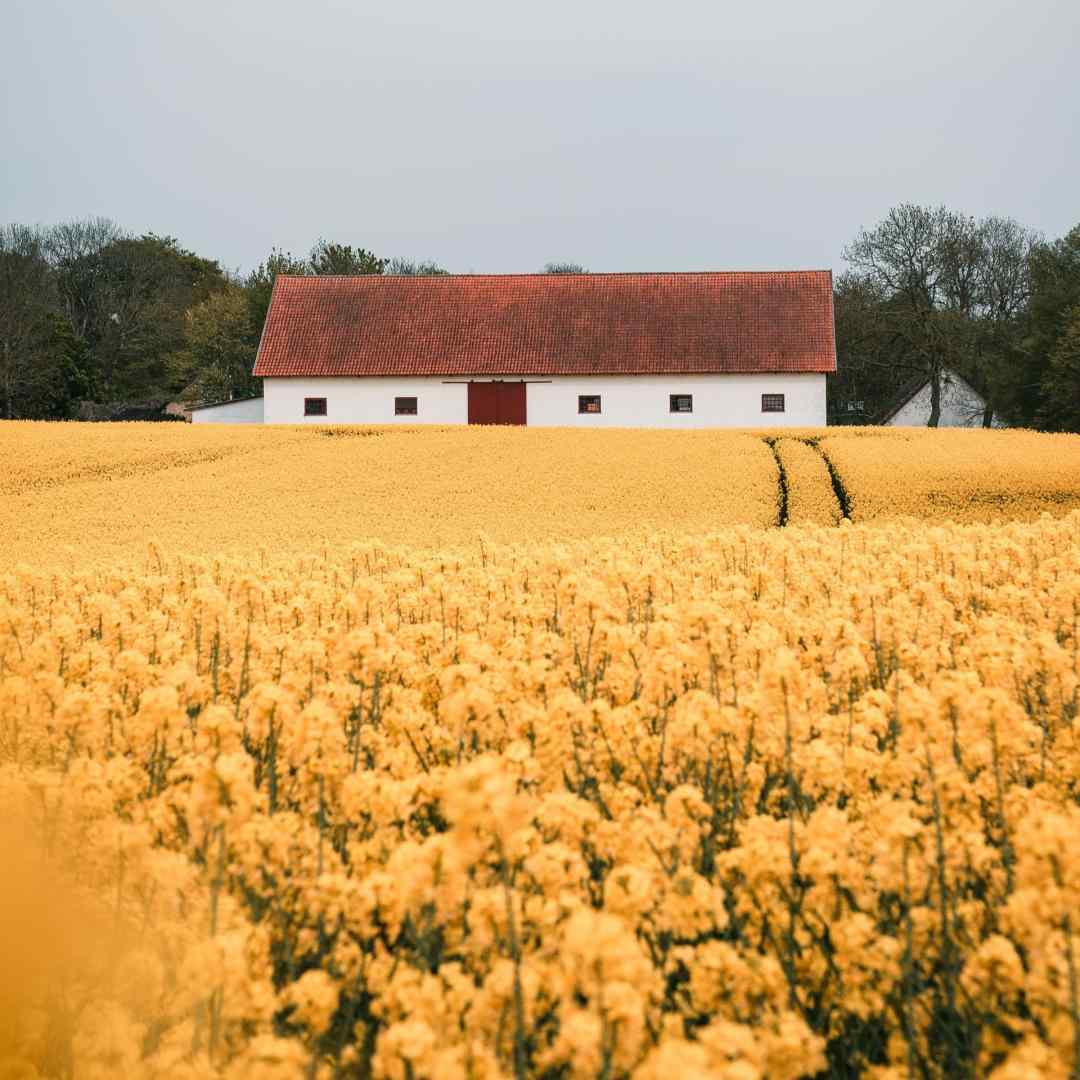 از بچگی خوردم با بر خیابونا ازم ساخت یه گلادیاتور