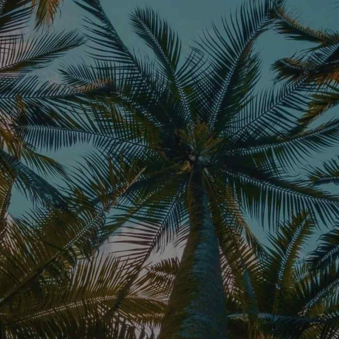  به جون تو دیگه نفس نمونده واسه ی من با صدای دختر