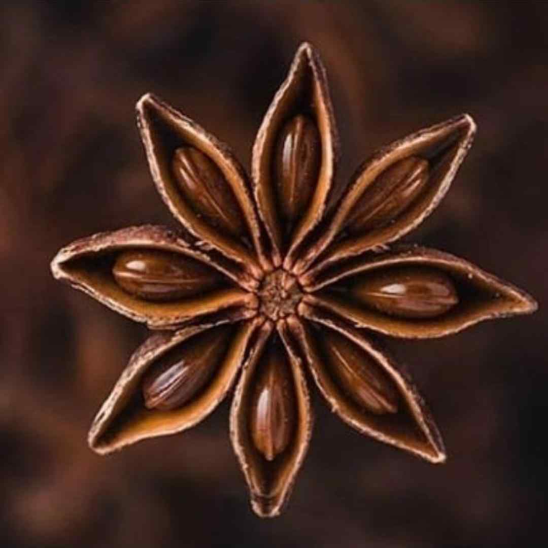  نسخ کردی چته دختر چرا چسبیدی به سنگا مثل جلبک