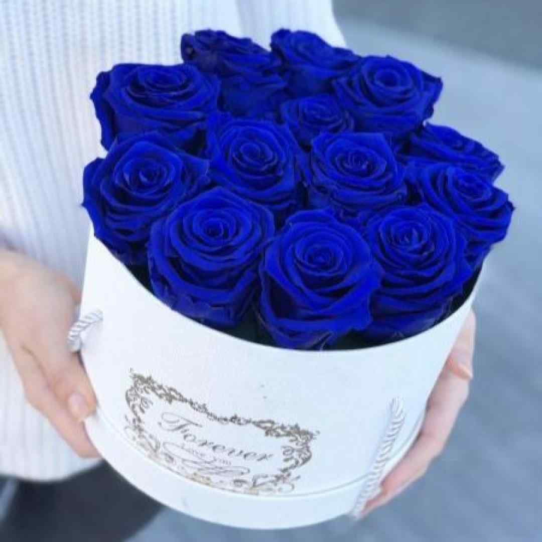  من بچگیمو همه گذشتمو یادمه اون بوق نارنجی