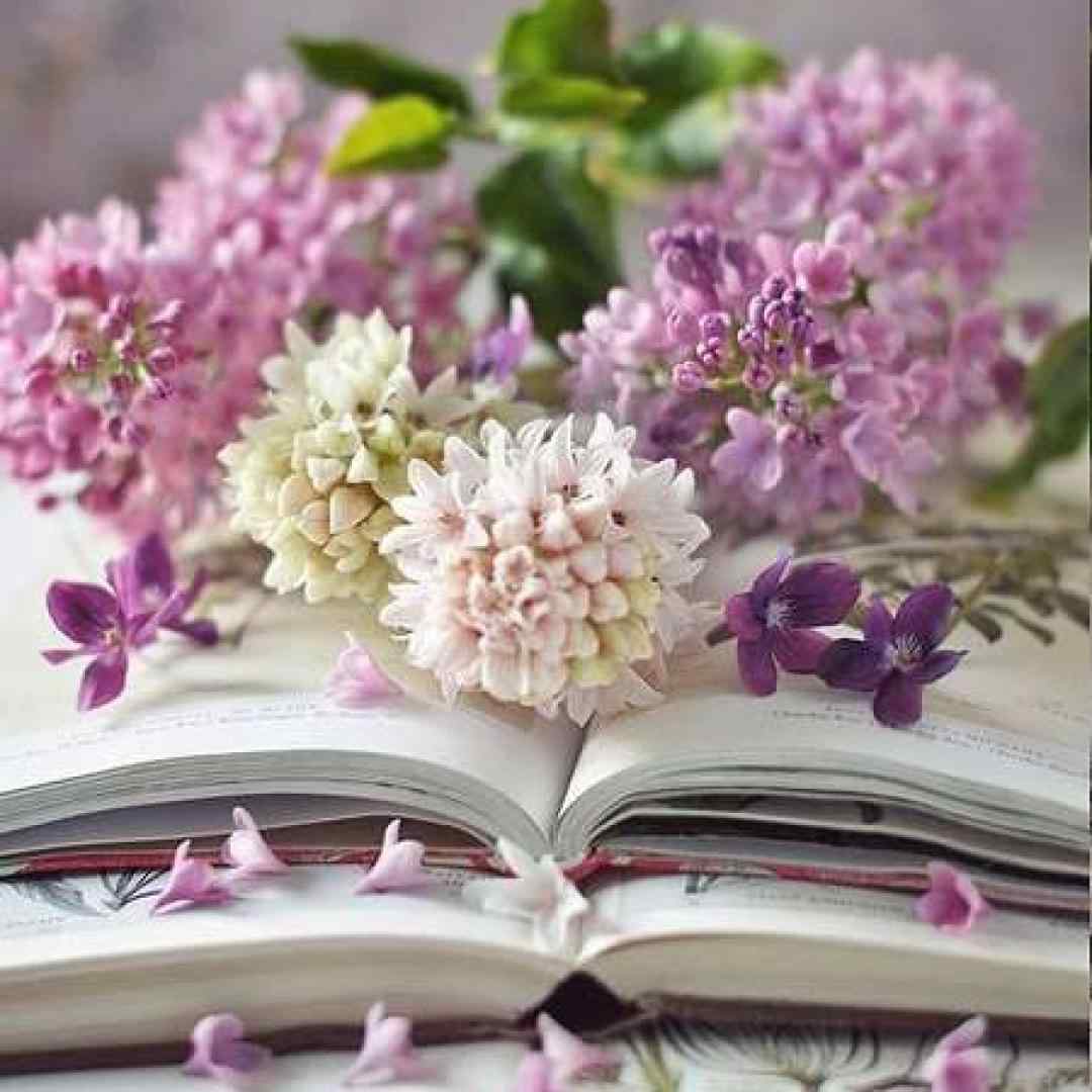 اینا تلخن انصافا اما کردم بهش عادت