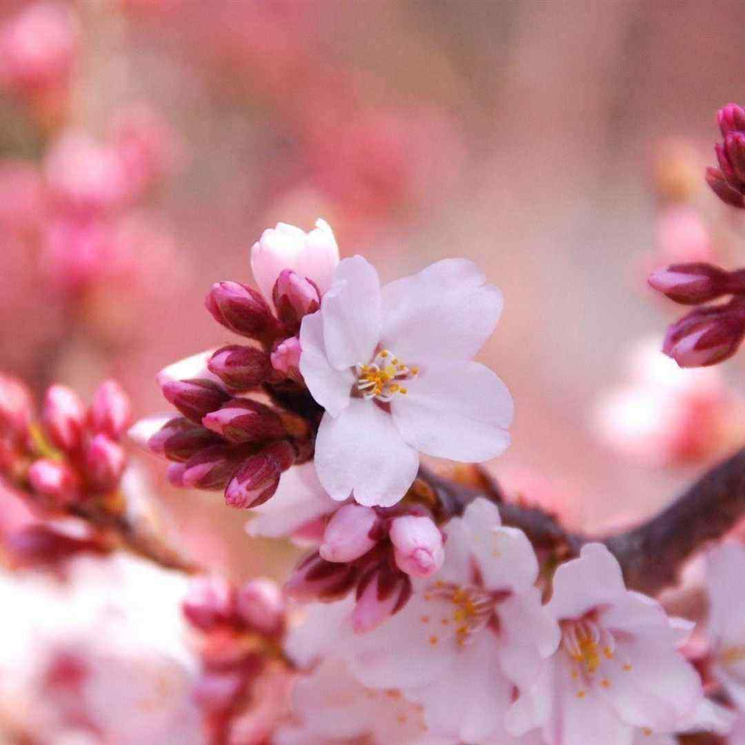  درسته قد تو فن نداریم ولی نگید رپر دختر نداریم با صدای دختر