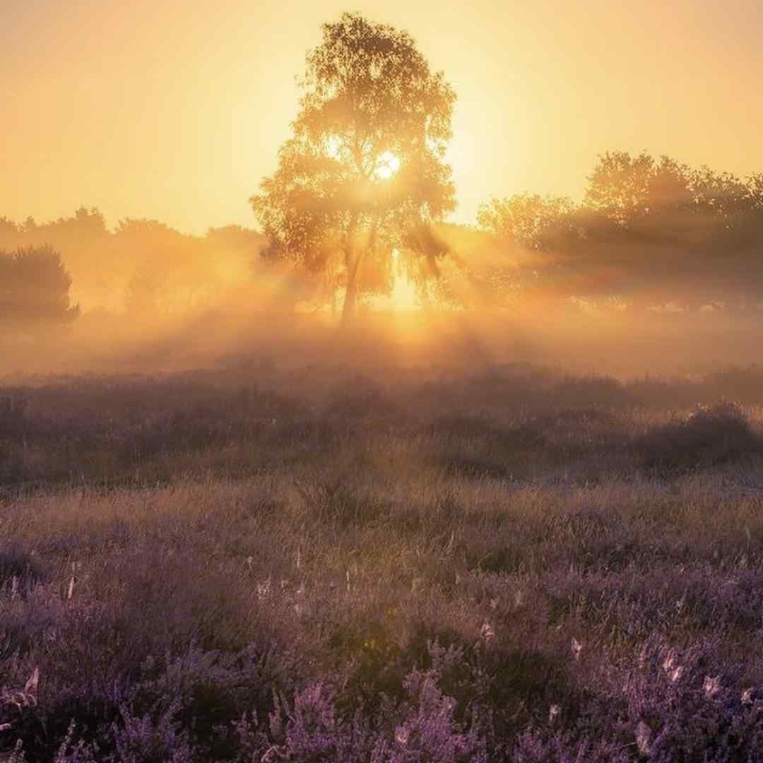 دشی میگذاری سر به روی قبر من سنگ قبرم