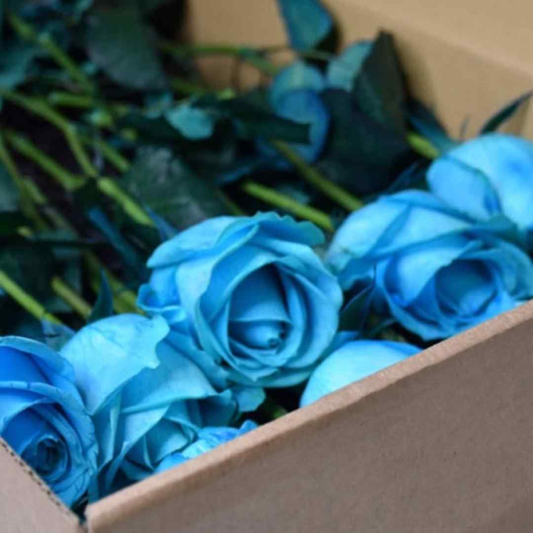  تو قول دادی منو تنها نمیذاری ولی حالا با صدای زن