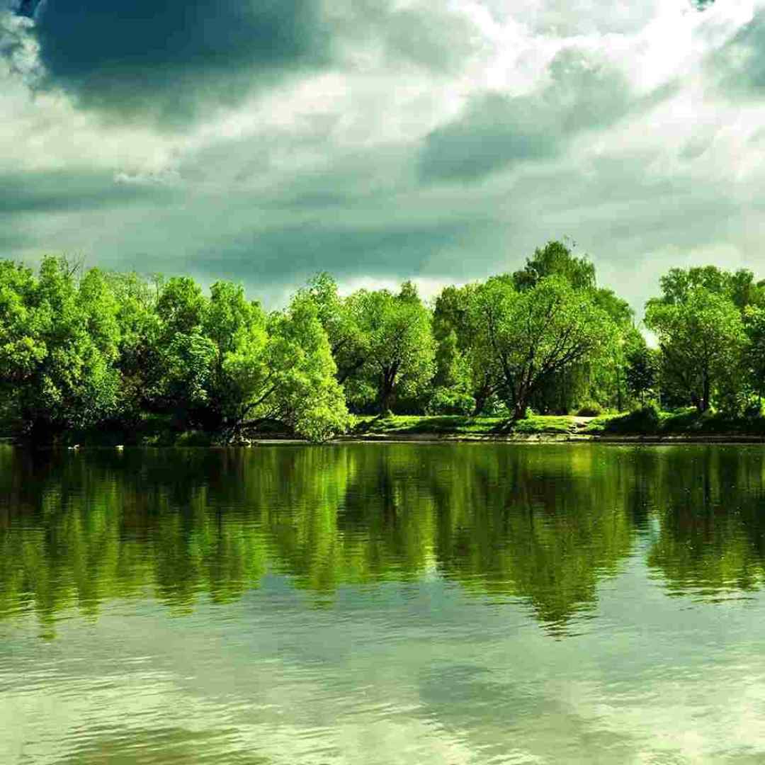  نازه نازه ولک نمک میریزه ولک