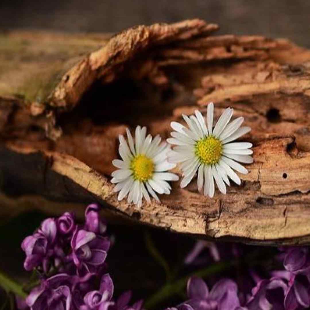  بغلم کن بغل کن روحمو که خستس با صدای دختر