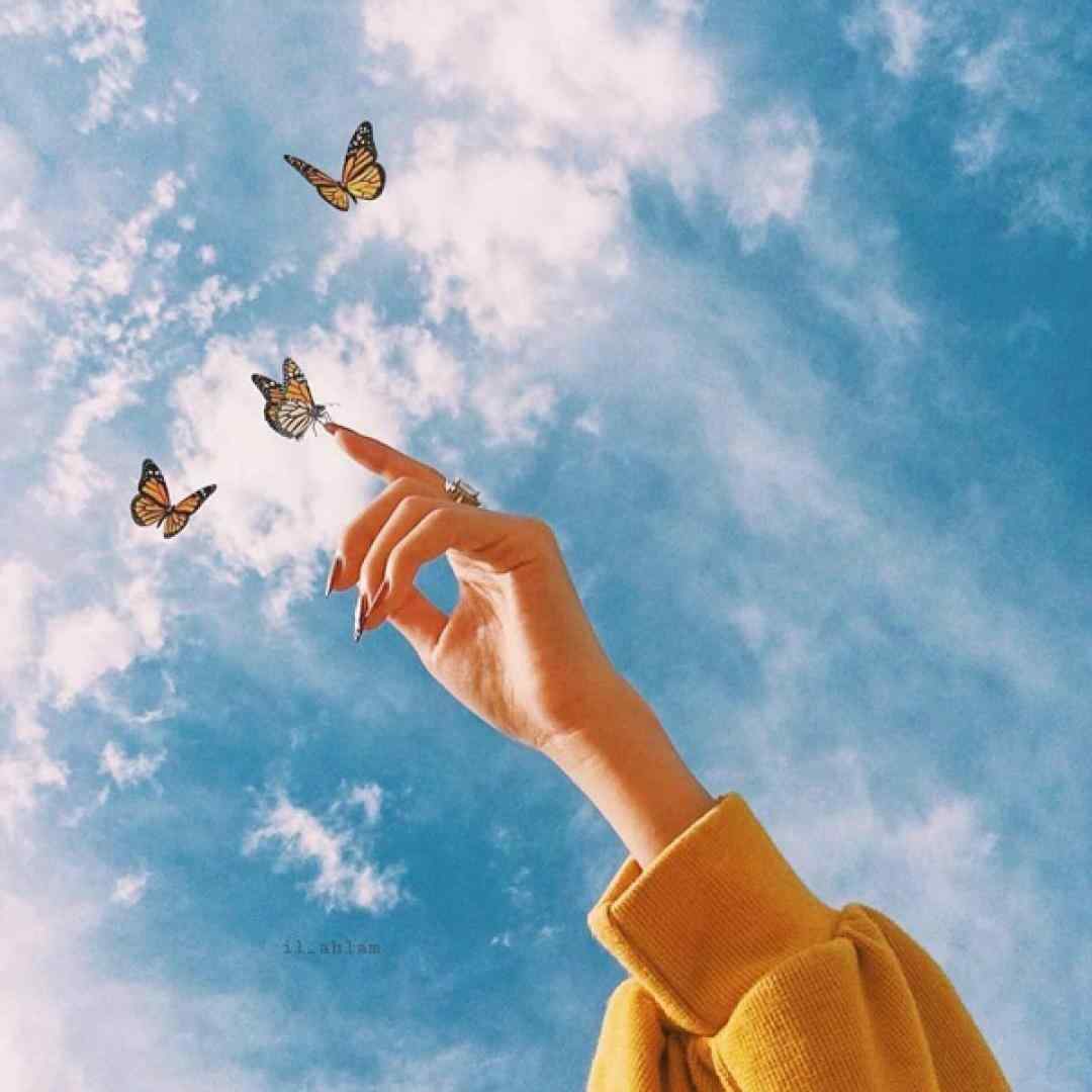  کارا لاتی تر از املت سر صبحه تیزیم تو غلاف بشه