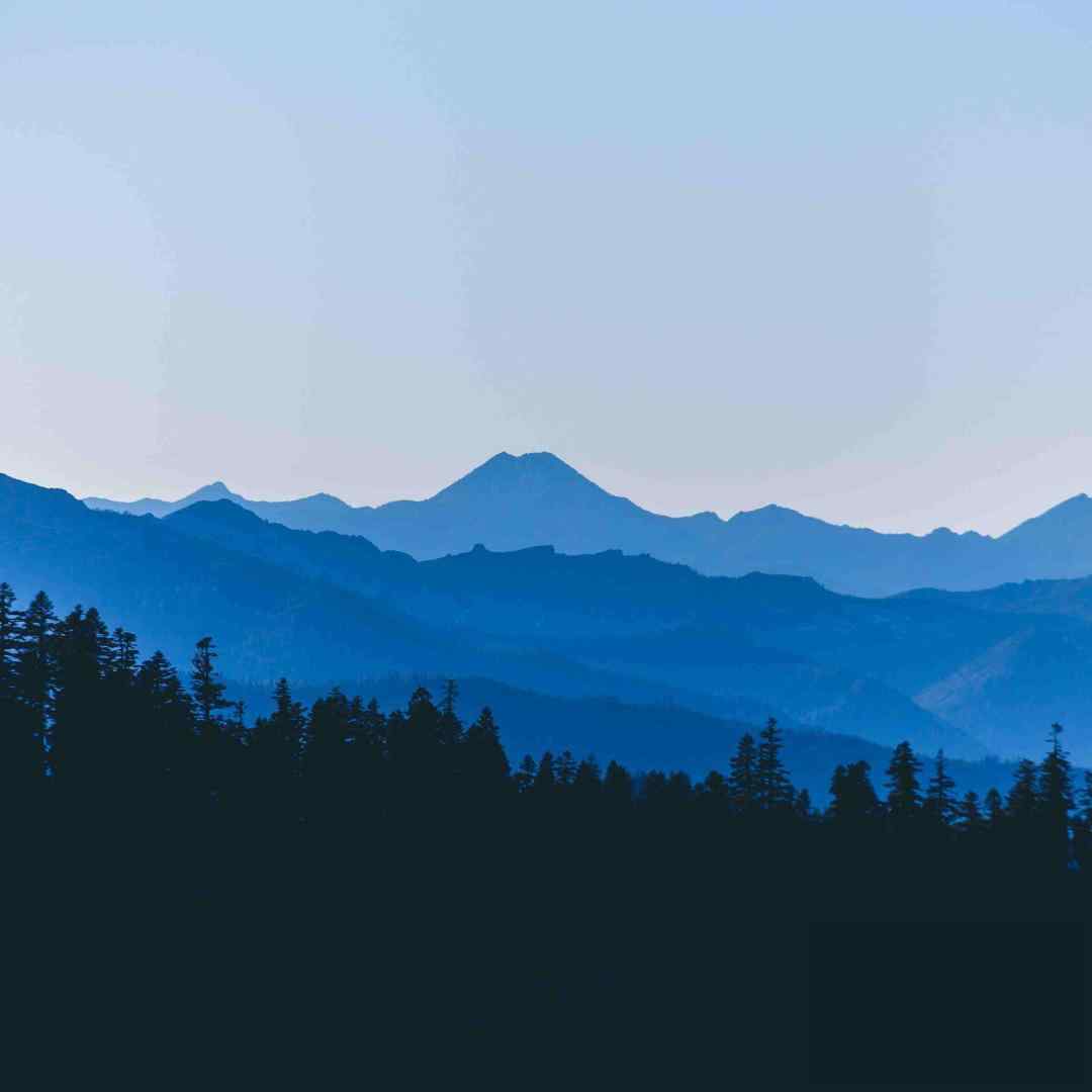  چالش نو اکس نو نکست فور میلی لیکس ایز ده بست