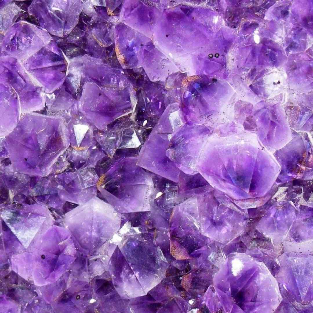  با من بیا اگه میخوای خارج بشی از ماتریکس