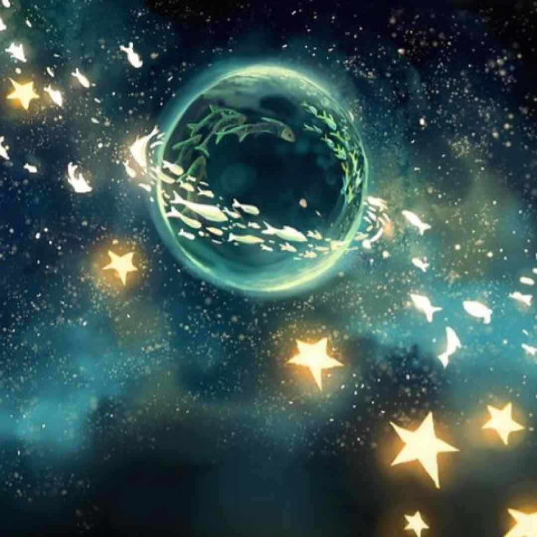 زندگی جوکه میگه وحشی باش سویج موده