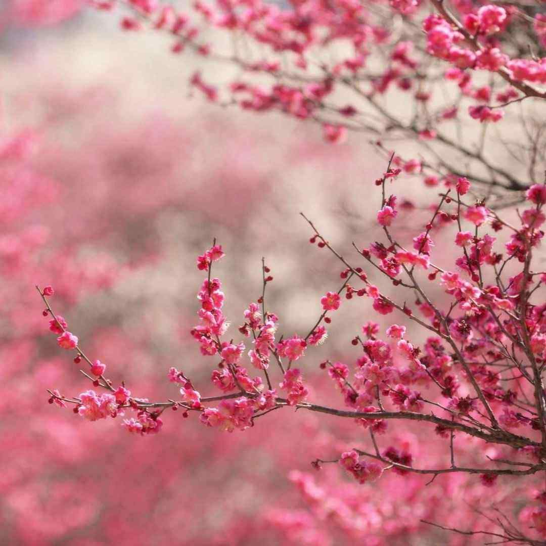 گریه خنده ترس استرس پشت سرم بیا بهم برس