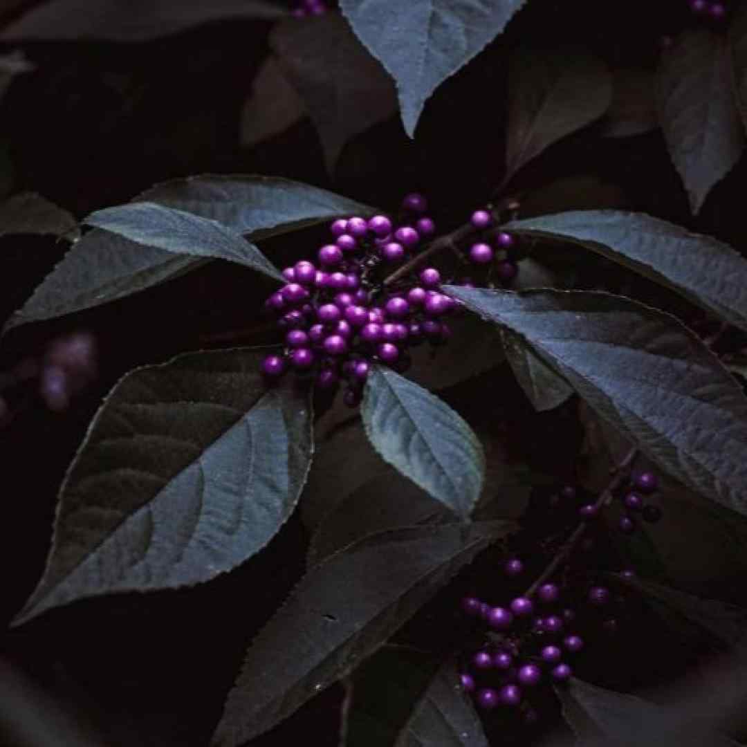 بوی تو میتینگ اونجام میزدم تو سریتو