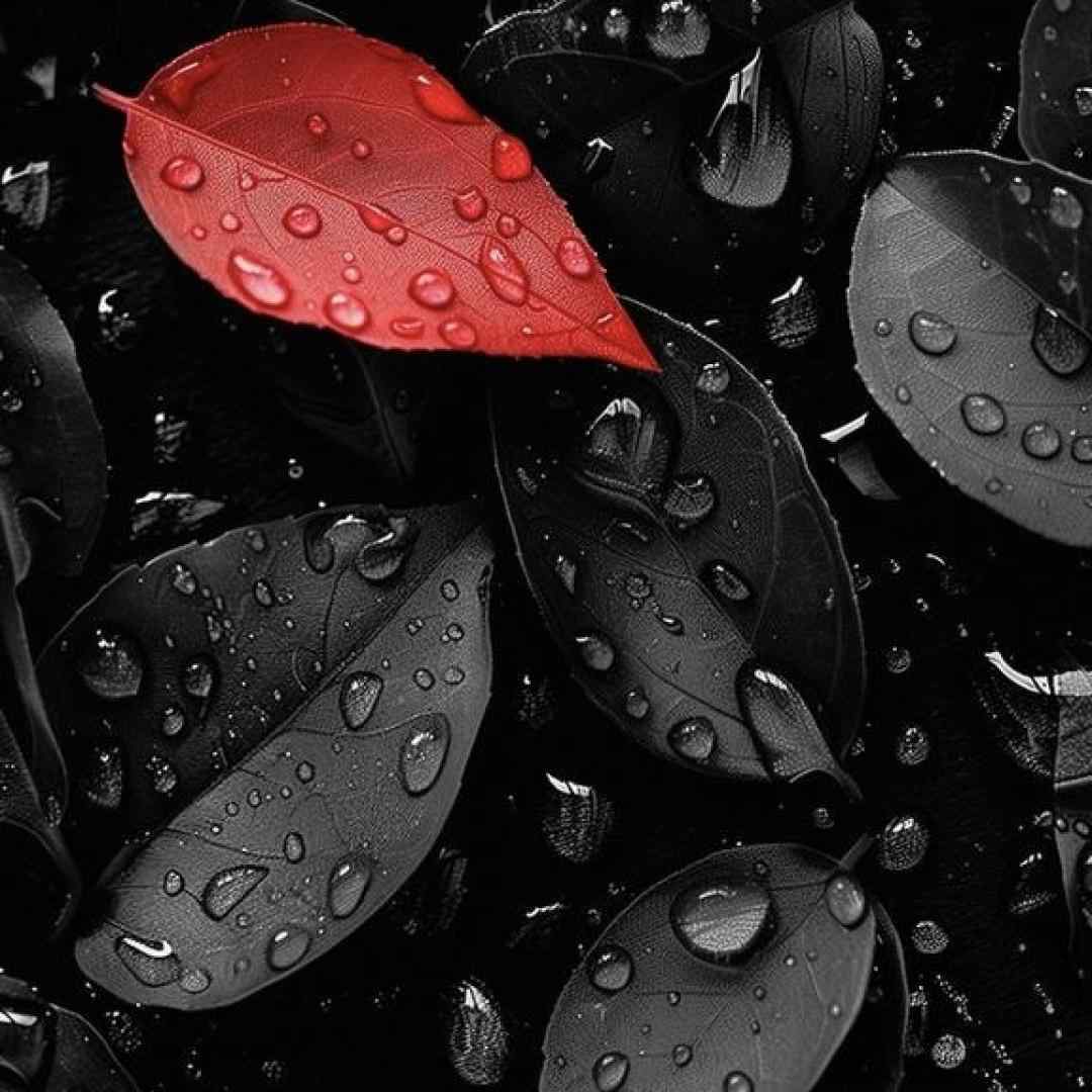 هنوز خاطره هات پیشمه دنیا صدامونو میشنوه