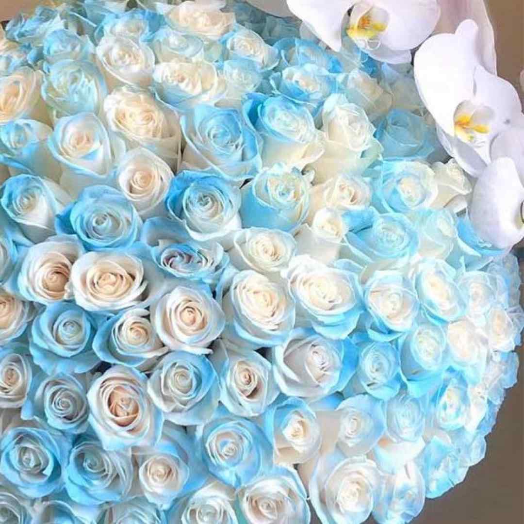 تنها بودن فیریکه رفیق شیشت پیچیده