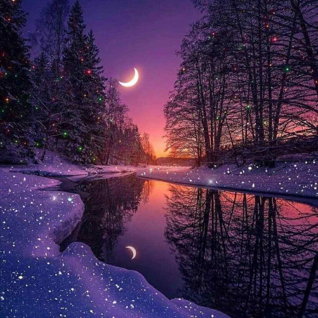  صدام تا پشت بوما هست فنا تو خیابونا عکس