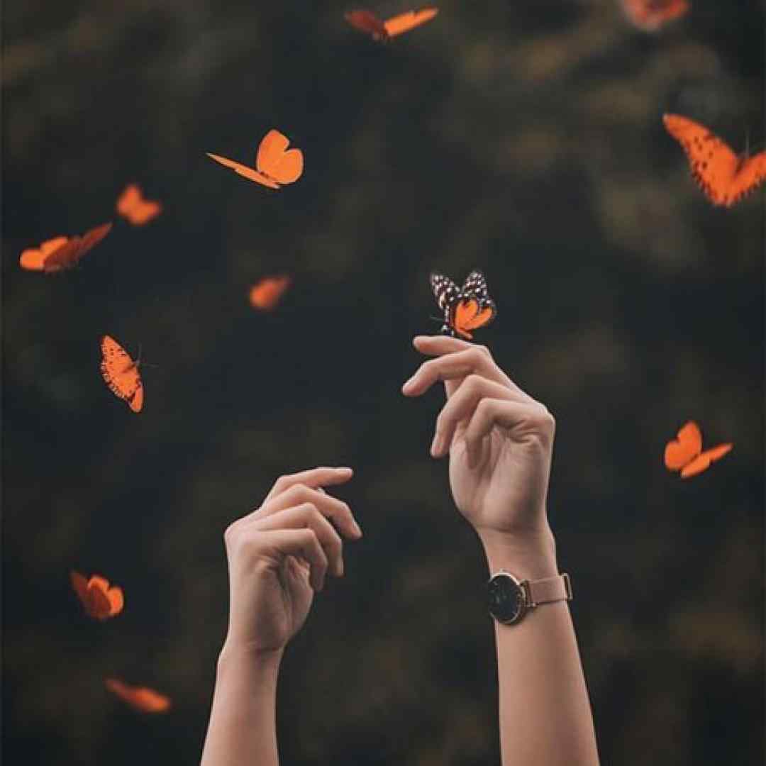  شیک میشه جمله میره لای پیپر