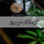 دانلود آهنگ های شبنم تووزلو (قدیمی و جدید)