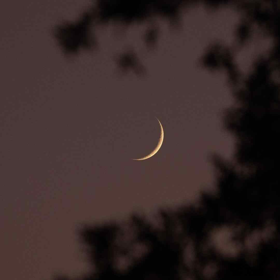 خارجی بوم بوم چیک چیک بوم