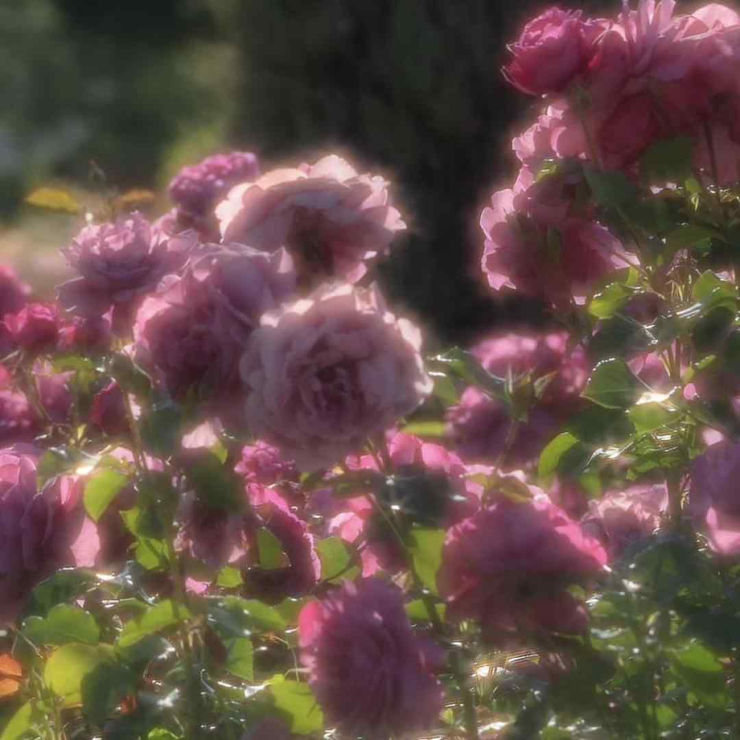  ترکی من سنی قلبیمه گیزلمیشم با صدای دختر